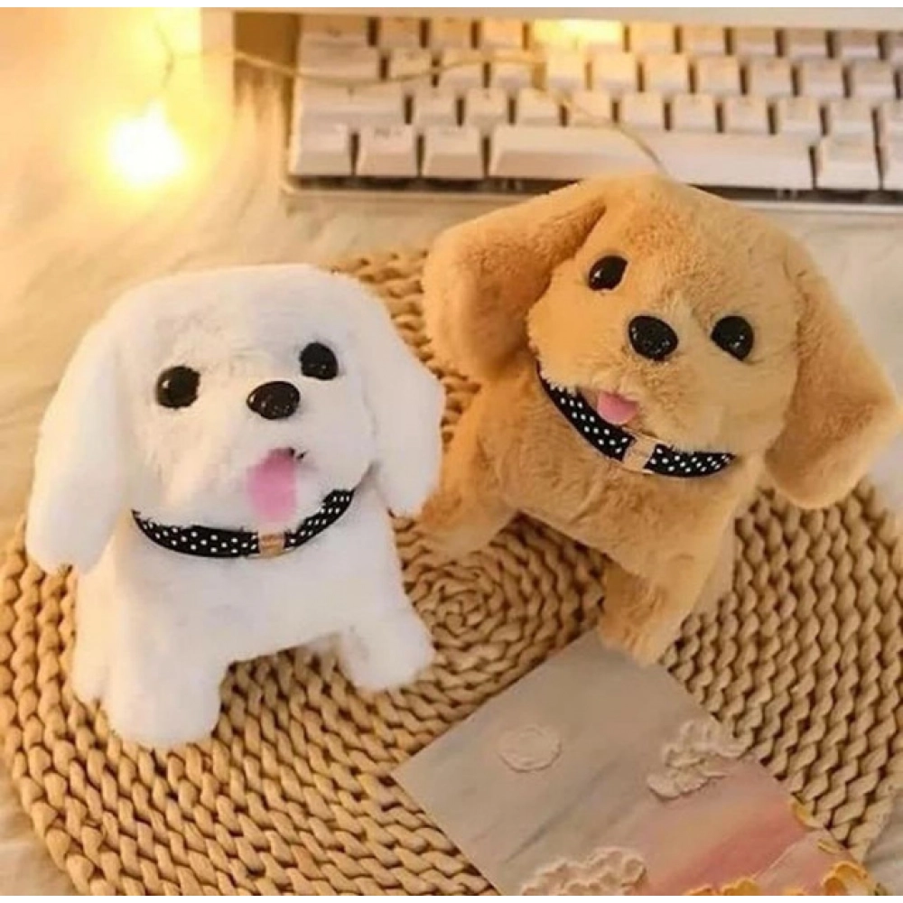 Walking And Talking Dog